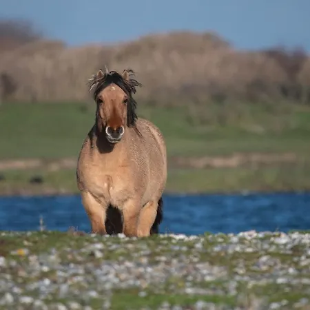 La Lueur Du Hable - Baie De Somme Hable D'ault 펜션 Woignarue
