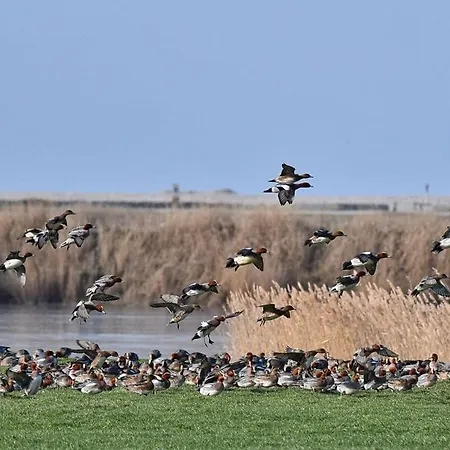 La Lueur Du Hable - Baie De Somme Hable D'ault