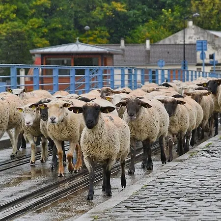 La Lueur Du Hable - Baie De Somme Hable D'ault Tatil Evi
