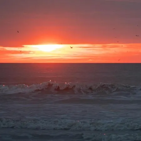 La Lueur Du Hable - Baie De Somme Hable D'ault 펜션 Woignarue