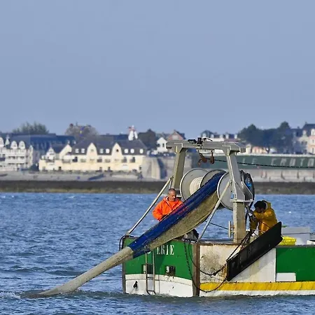La Lueur Du Hable - Baie De Somme Hable D'ault